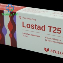 Lostad T25