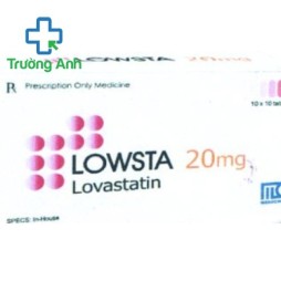 Lowsta 20Mg