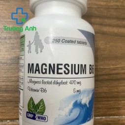 Magnesi B6 Nic Chai 250 Viên