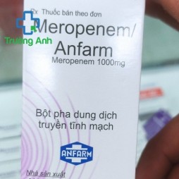 Meropenem Anfarm 1G