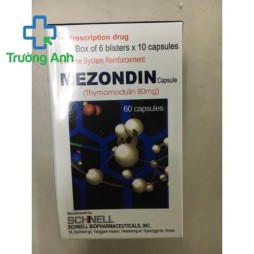 Mezondin