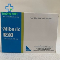 Miberic 300Mg