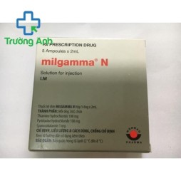 Milgamma N