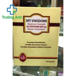 Mt-Vikidomi