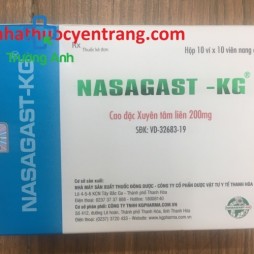 Nasagast Kg