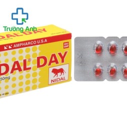 Nidal Day