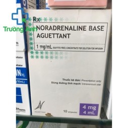 Noradrenaline 4Mg/4Ml Base Aguettant