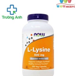 Now L-Lysine 500Mg 250 Viên