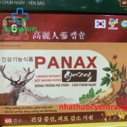 Panax Ginseng