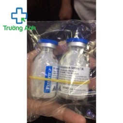 Pizulen 500Mg