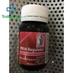 Pm H-Regulator