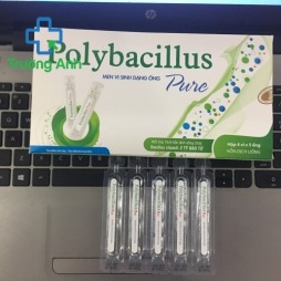 Polybacillus Pure