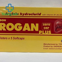 Progan Plus