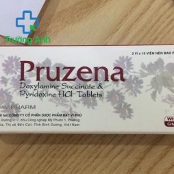 Pruzena