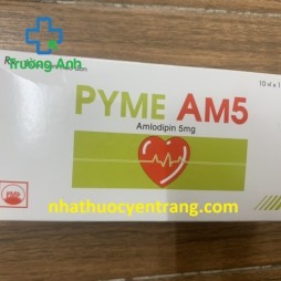 Pyme Am5