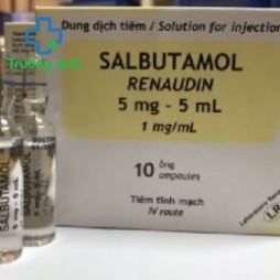 Salbutamol Renaudin 5Mg/5Ml
