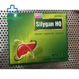 Silygan Hq