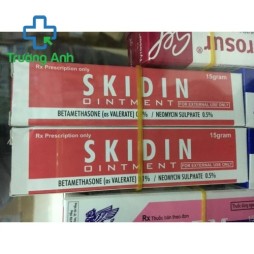 Skidin Ointment 15G