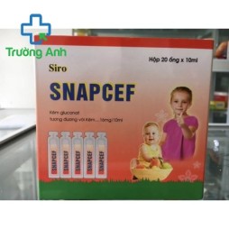 Snapcef