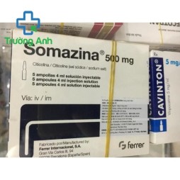 Somazina 500Mg/4Ml