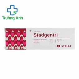 Stadgentri