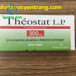 Theostat 300Mg