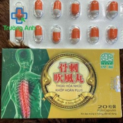 Thoái Hoá Nhức Khớp Hoàn Plus