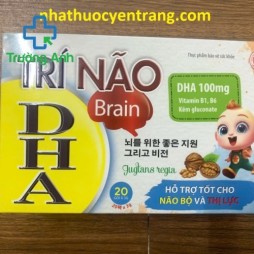 Trí Não Dha Brain