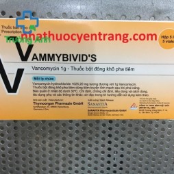 Vammybivid's 1G