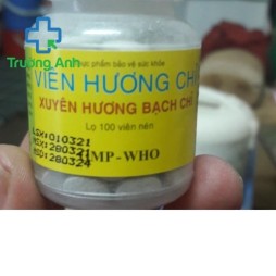 Viên Hương Chỉ