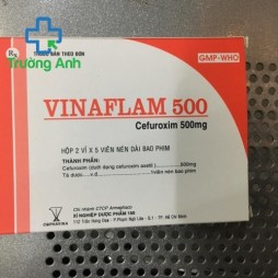 Vinaflam 500Mg