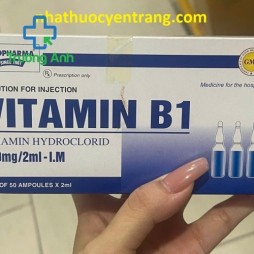 Vitamin B1 Tiêm