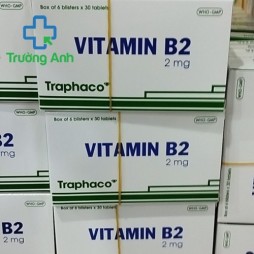 Vitamin B2 2Mg Traphaco