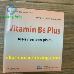 Vitamin B6 Plus