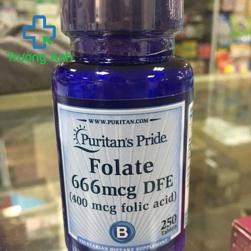 Acid Folic Puritan's Pride 400Mcg 250 Viên