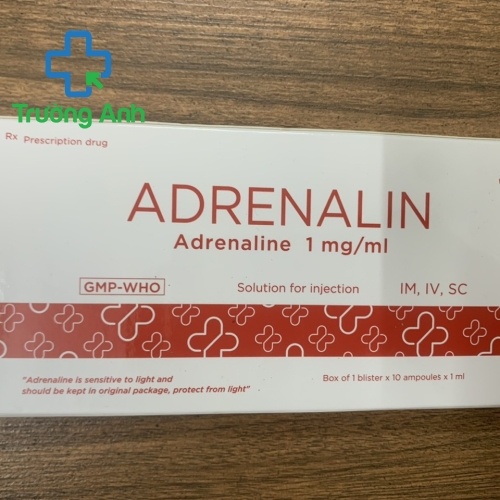 Adrenalin (Hộp 10 Ống)