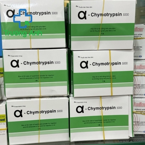 Alpha Chymotrypsin 5000Iu Bình Định