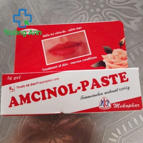 Amcinol Paste