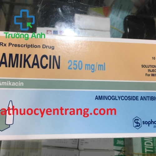 Amikacin 250Mg/Ml