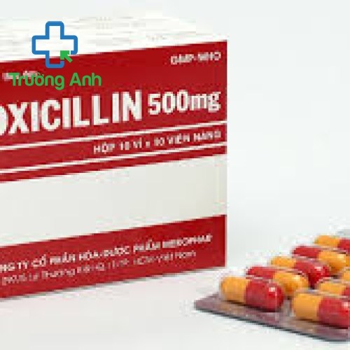 Amoxicillin 500Mg Mekophar