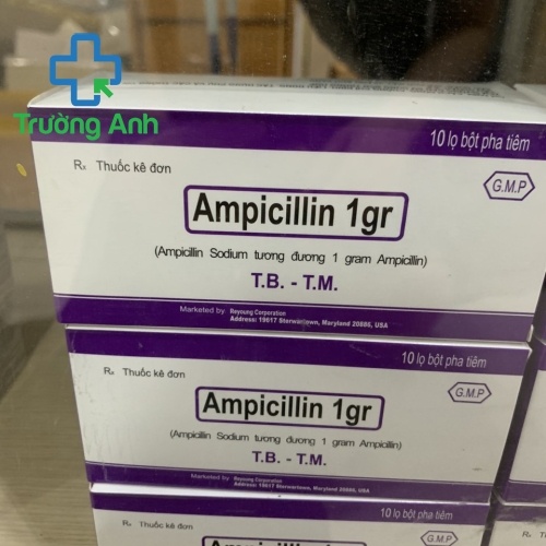 Ampicillin 1G Mỹ