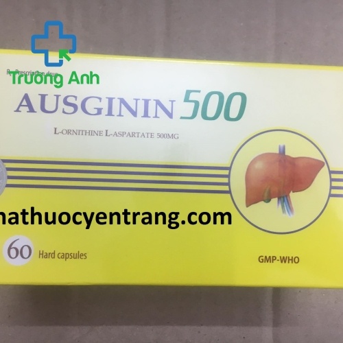Ausginin 500Mg