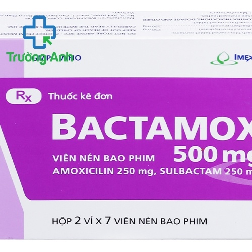 Bactamox 500Mg