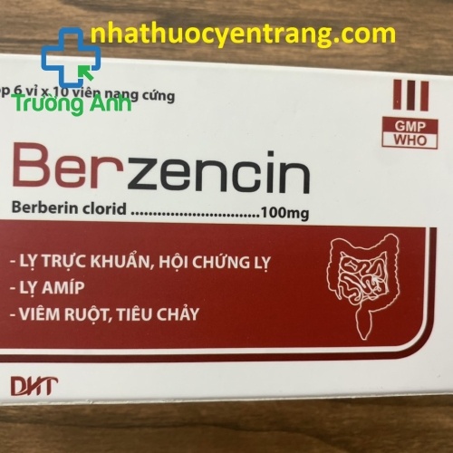 Berzencin
