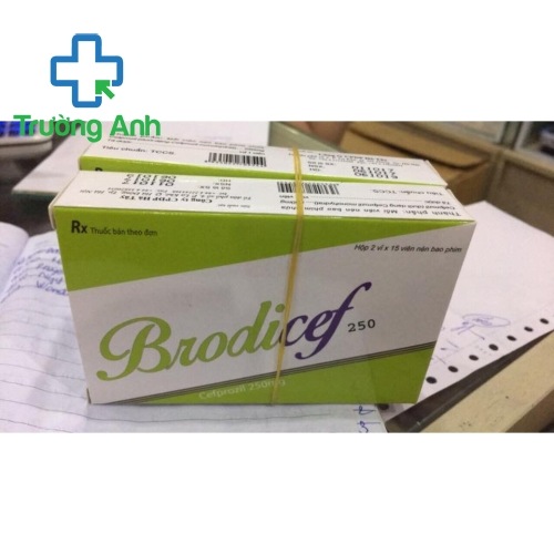 Brodicef 250Mg