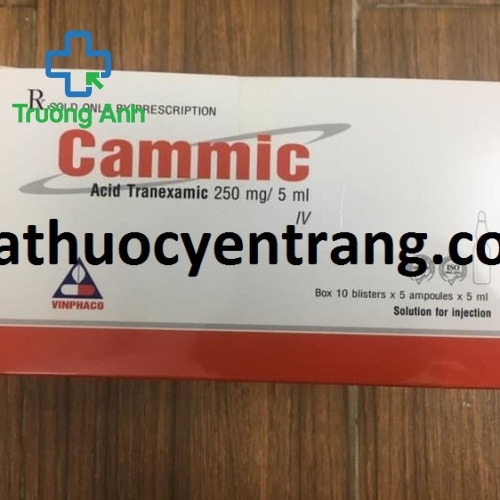 Cammic 250Mg Tiêm