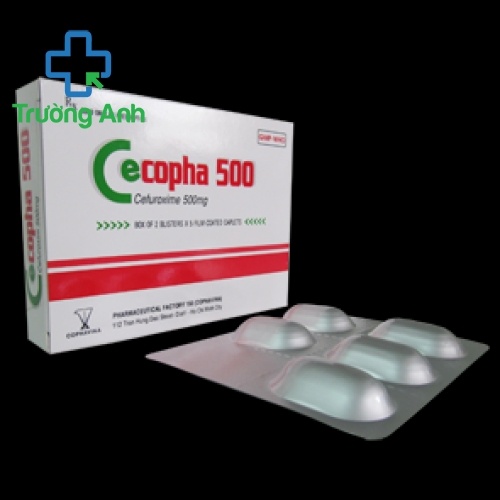 Cecopha 500Mg