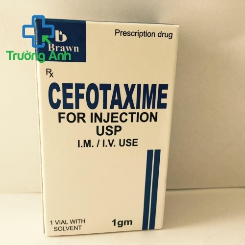 Cefotaxime 1G