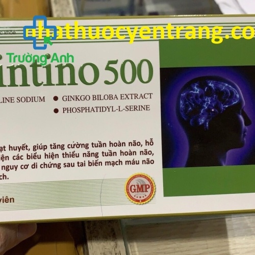 Cintino 500 (60 Viên) Nội