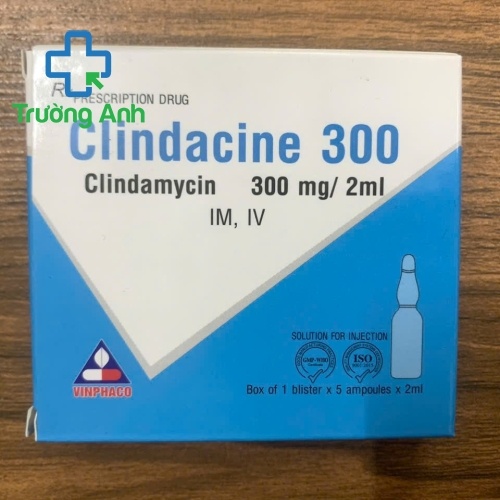 Clindacine 300Mg